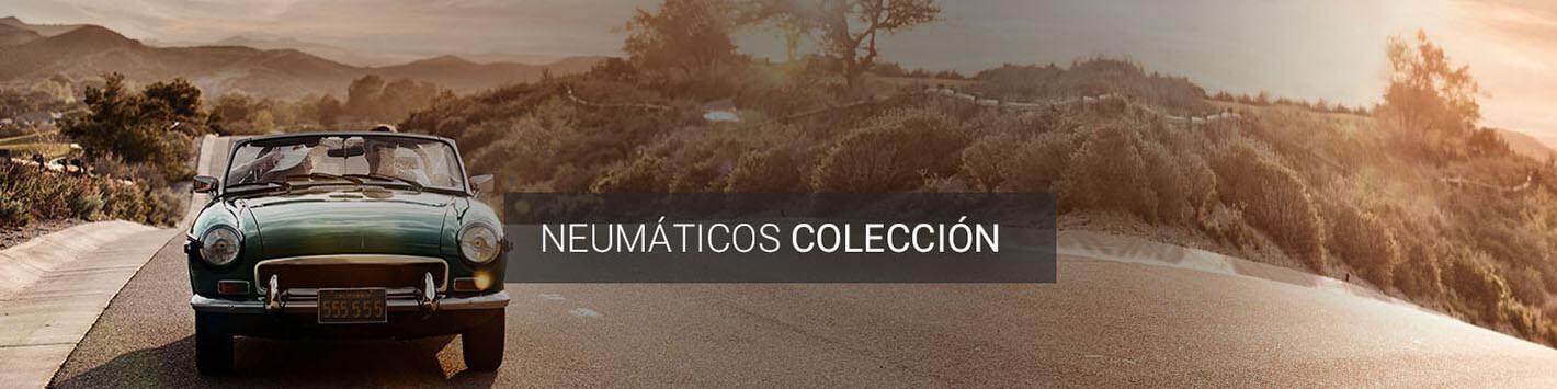 Neumáticos colección