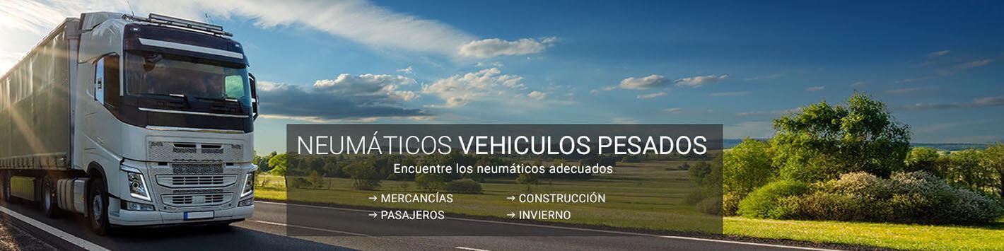 Neumáticos Vehiculos pesados