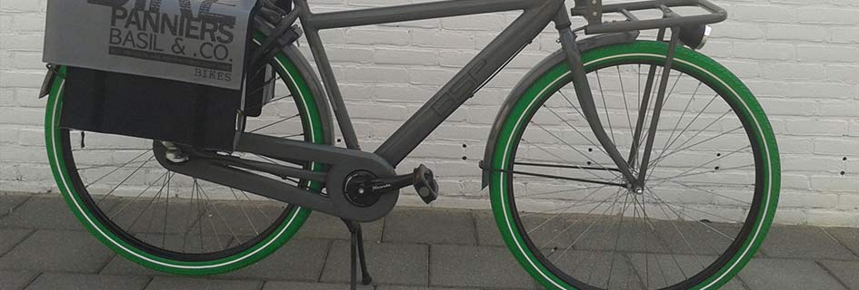 Neumáticos bicicleta DUTCH PERFECT