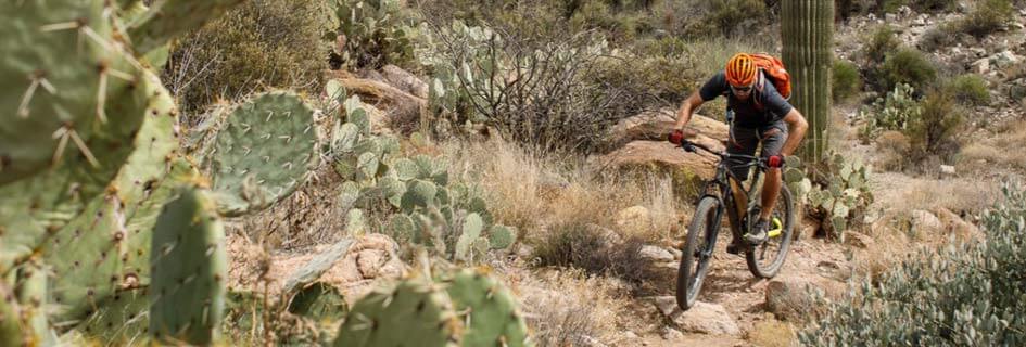 Neumáticos bicicleta WTB