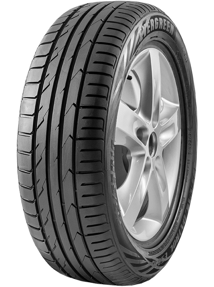 EVERGREEN DynaControl ES880 EVERGREEN DynaControl ES880