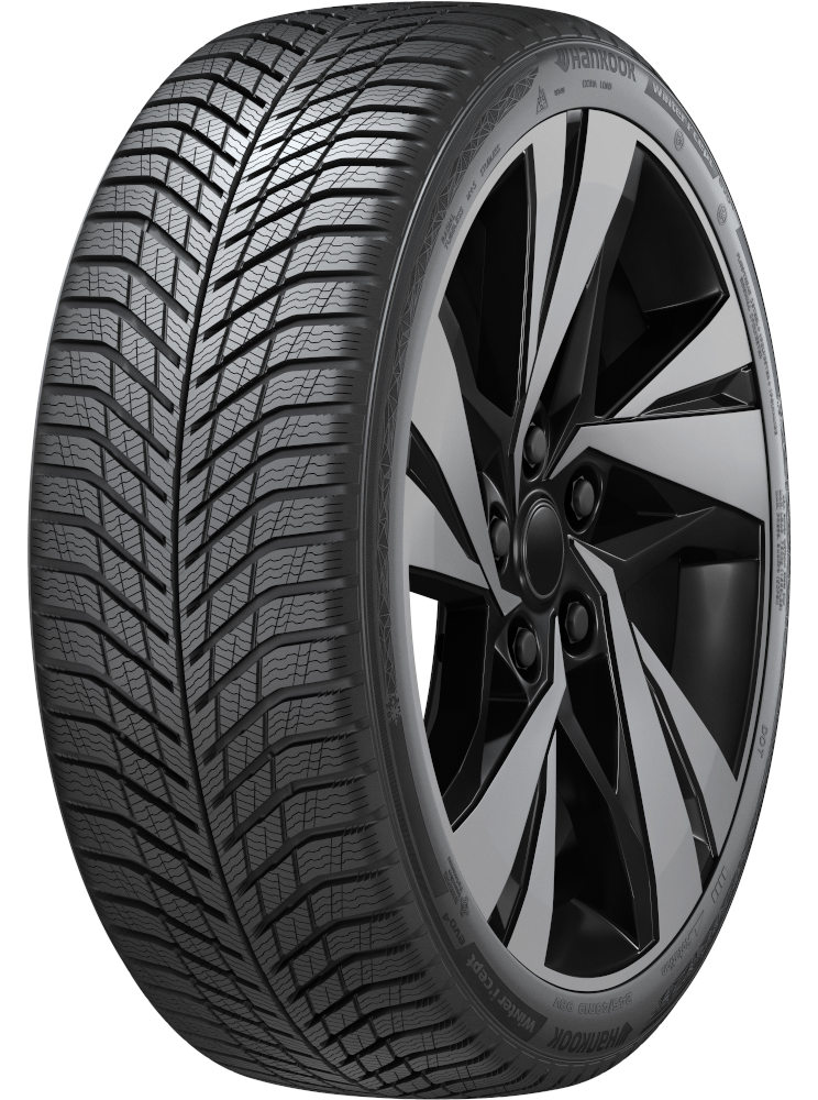 Winter Icept Evo 4