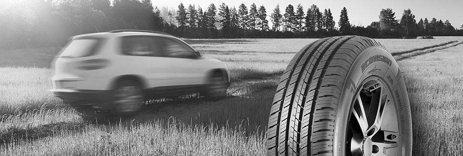 Neumáticos OVATION