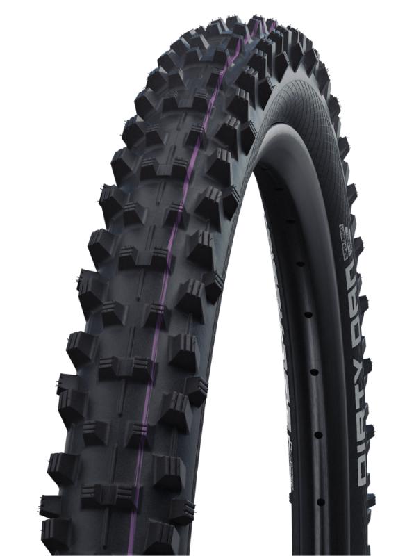 Cubiertas SCHWALBE Dirty Dan HS417