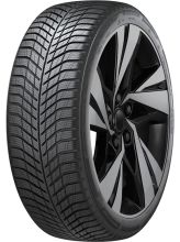 Winter Icept evo 4