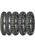 28191483-Terra Force-EF
