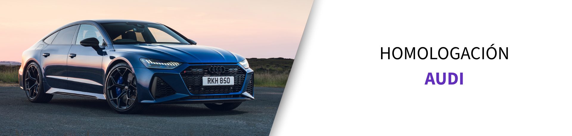 Neumático homologado Audi