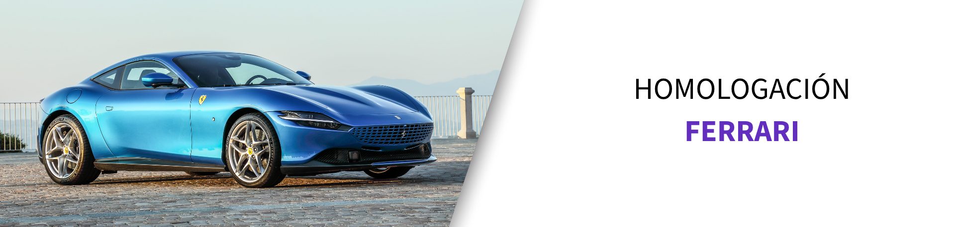 Neumático homologado Ferrari