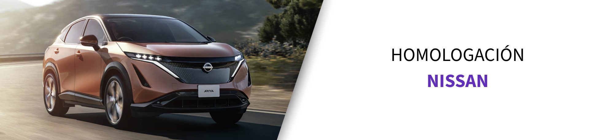 Neumático homologado Nissan